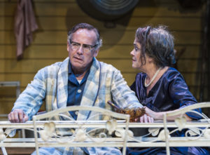 Geoff Elliott and Deborah Strang in ANW’s production of All My Sons. Photo by Craig Schwartz.